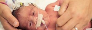 newborn baby in the NICU being cradled by two hands