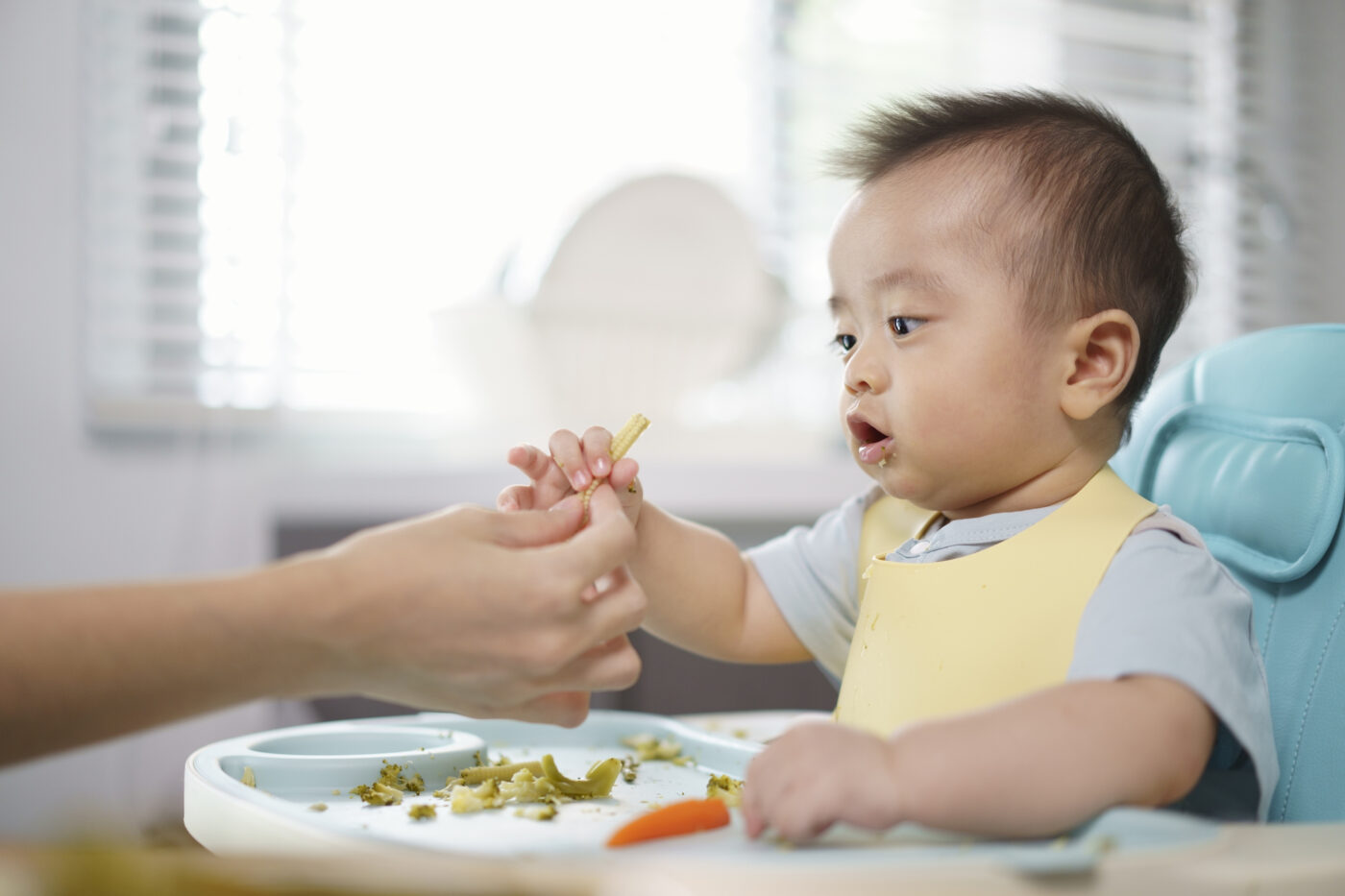 The Infant-Driven Feeding™ Program
