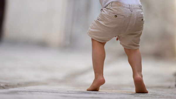 small child in khaki shorts and a white shirt attempting to walk